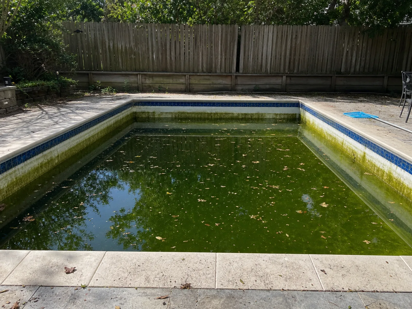 La piscina antes del trabajo: agua verde y turbia, con hojas y suciedad